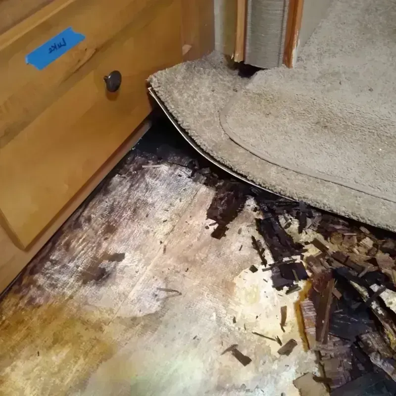 Wood Floor Water Damage in Perryman, MD